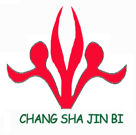 长沙金臂试听设备有限公司