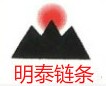 山东泰安明泰机械有限公司
