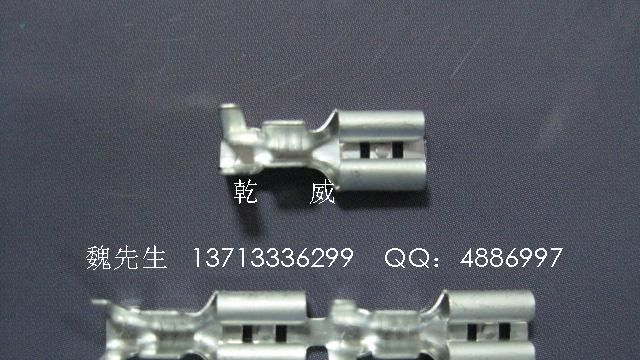 18903114.jpg