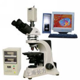 XPN-300偏光显微镜 