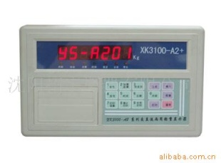 供应XK3100-A2+称重显示器