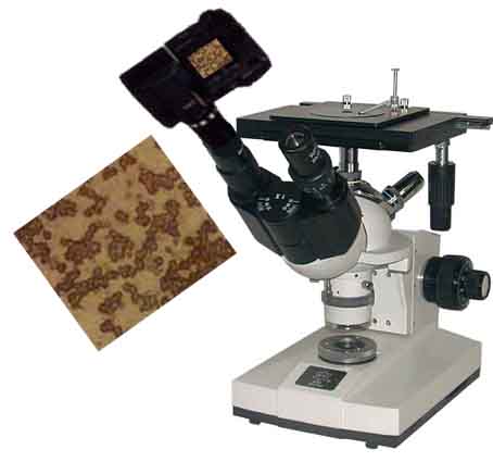 德阳金相显微镜-绵阳金相显微镜