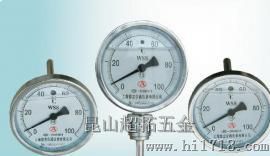 上海昆山充油温度计