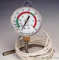 进口气体压力式隔测温度计