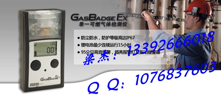 英思科GB90 (Ex) 单一可燃气体检测仪