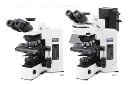 BX51奥林巴斯生物显微镜(上海供应专区)