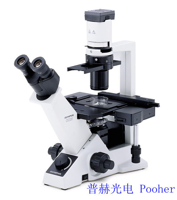 CKX41-A32PH奥林巴斯倒置显微镜(可增配图像系统)