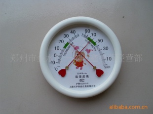 指针式温湿度表TDWS-A4型 上海天宇