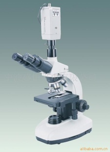 供应电视生物显微镜