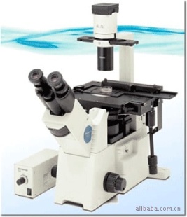 供应奥林巴斯倒置生物显微镜