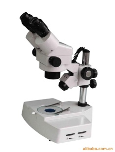 供应    显微镜XTL-2400F