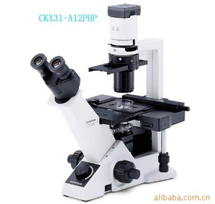 双目倒置显微镜 CKX31-A12PHP|奥林巴斯