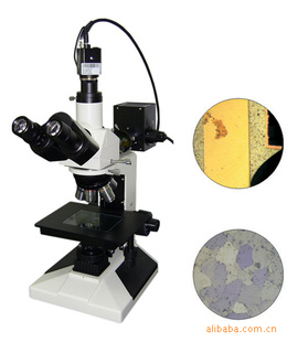 供应经济型金相显微镜