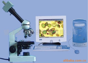 供应彩色电视显微镜,视频生物显微镜(图)