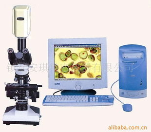 供应彩色电视显微镜,视频显微镜(图)