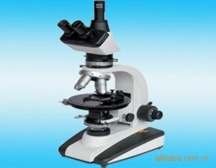 供应LW200PT-59PT偏光显微镜