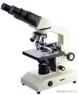 双目看光学生物显微镜 SP-303B