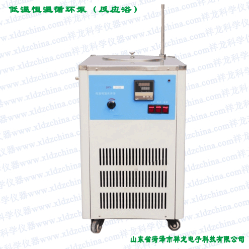 DLSB-5/10低温冷却液循环泵（反应浴 ）