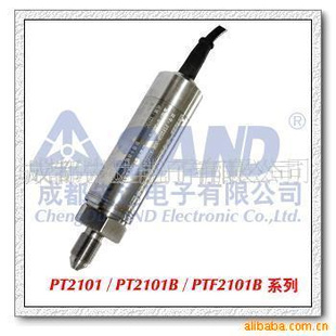 PT2101系列 常温压力传感器/变送器(防爆型)