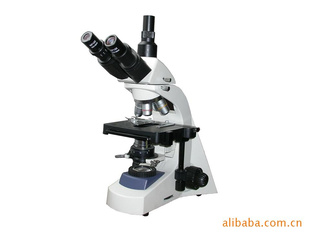 LW300-48LT实验型生物显微镜
