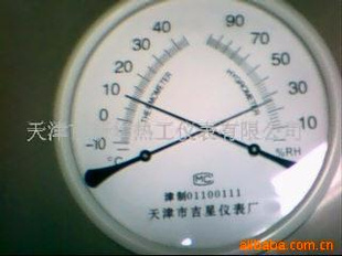 供应温湿度计气象仪器仪器仪表天津(图)