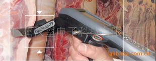 德国猪只胴体分级系统（瘦肉率测定仪）ClassPro—OptiGrade-TP