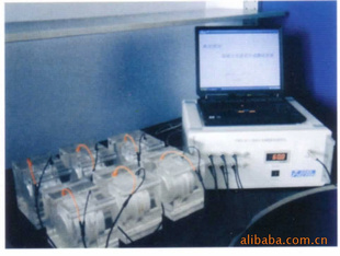 供应混凝土电通量测定仪 氯离子检测仪 氯离子含量测
