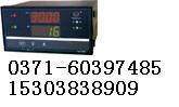 WP-D807-01-12-HL多回路巡检测量控制仪 上润仪表