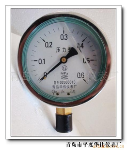 供应耐震压力表y-100(图)