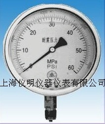 上海仪明仪器仪表有限公司生产耐振压力表