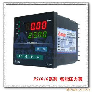 PS1016系列 (高温熔体)智能数字压力显示表