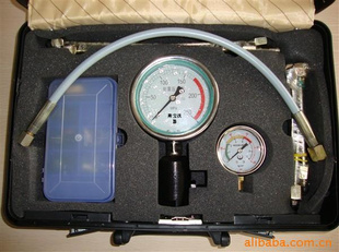 供应柴油压力表检测仪