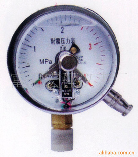 耐震电接点压力表YTNXC系列