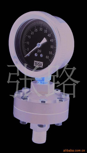 全塑YTP-100S隔膜压力表