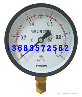 厂家供应普通压力表 压力表气Y-100.6Mpa