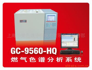 GC-9560-HQ天然气及燃气分析系统