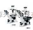CKX31 奥林巴斯倒置显微镜