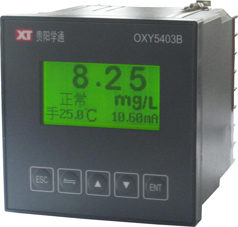 工业溶解氧仪OXY5403B