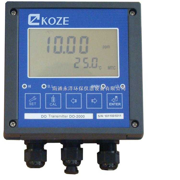 DO2000 在线溶解氧测定仪
