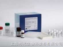 人环磷酸腺苷Elisa试剂盒,(cAMP)Elisa试剂盒