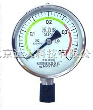 WJ12-YWF100 耐高温压力表 型号:WJ12-YWF100库号：M388550