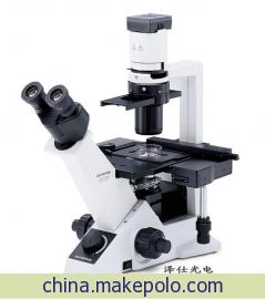 ckx41奥林巴斯倒置显微镜