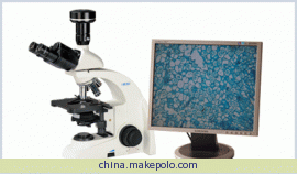 北京显微镜BG200/BG200TR生物显微镜