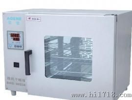 250度DHG-9123A台式鼓风干燥箱 烘箱 上海恒温箱