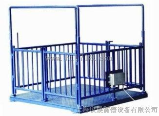 青海5吨电子落地秤 10吨带栏畜牧秤报价 20吨砸栏电子秤价格