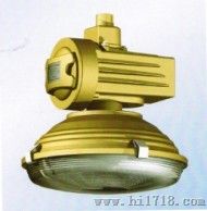 SBD1105-YQL120免维护节能防爆灯，SBD1105-YQL120
