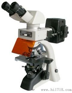 FBM10荧光显微镜