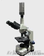 广州市显微镜厂家报价  视频显微镜