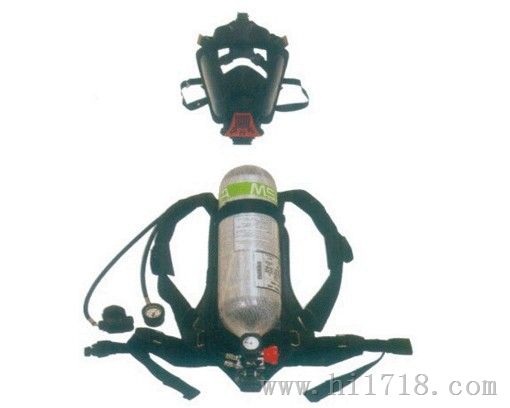 BD2100标准型呼吸器价格