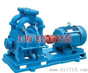 上海SK型水环式真空泵